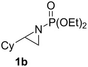 graphic file with name Beilstein_J_Org_Chem-06-978-i004.jpg