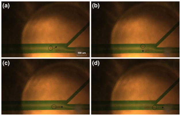 Fig. 11