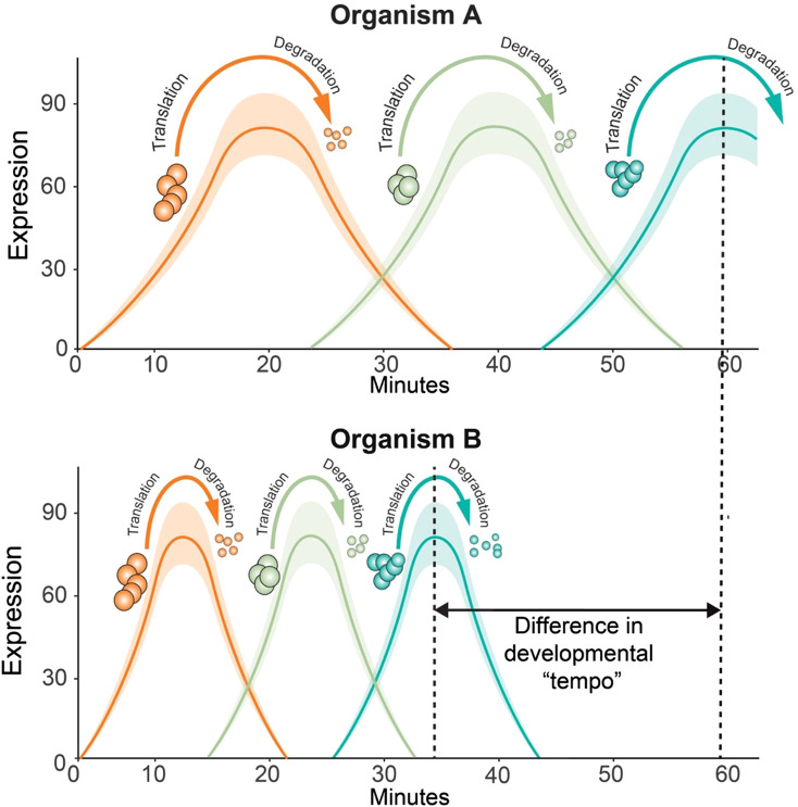 Figure 3.