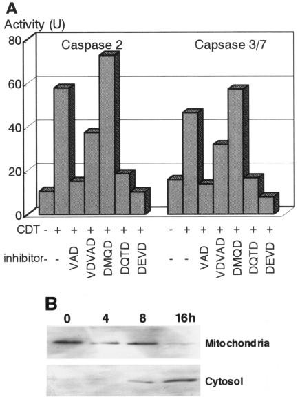 FIG. 8.