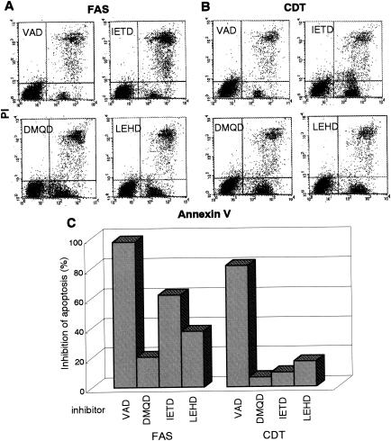 FIG. 6.