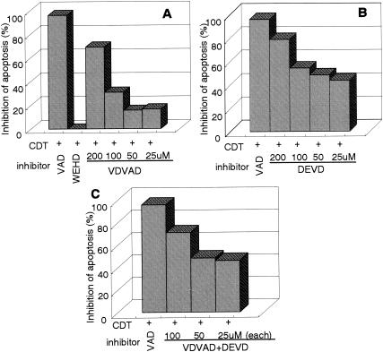 FIG. 7.