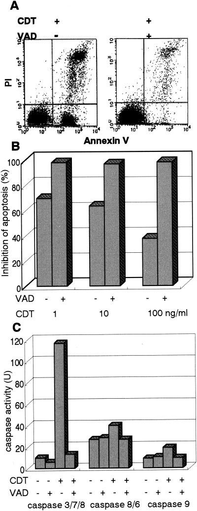 FIG. 5.