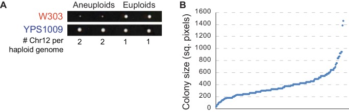 Figure 1—figure supplement 1.