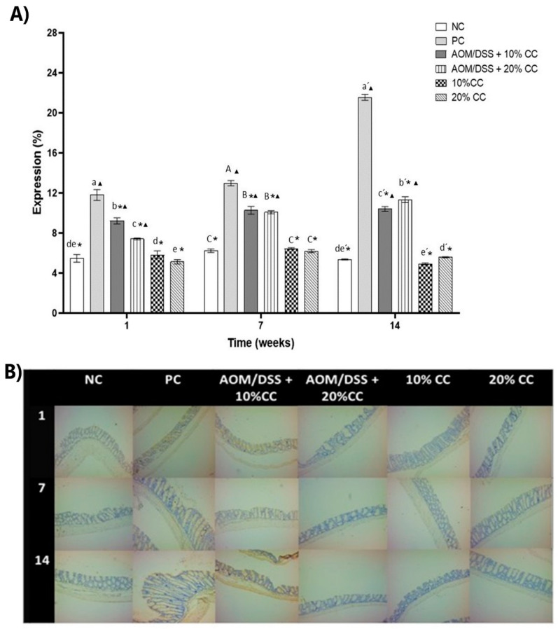 Figure 5