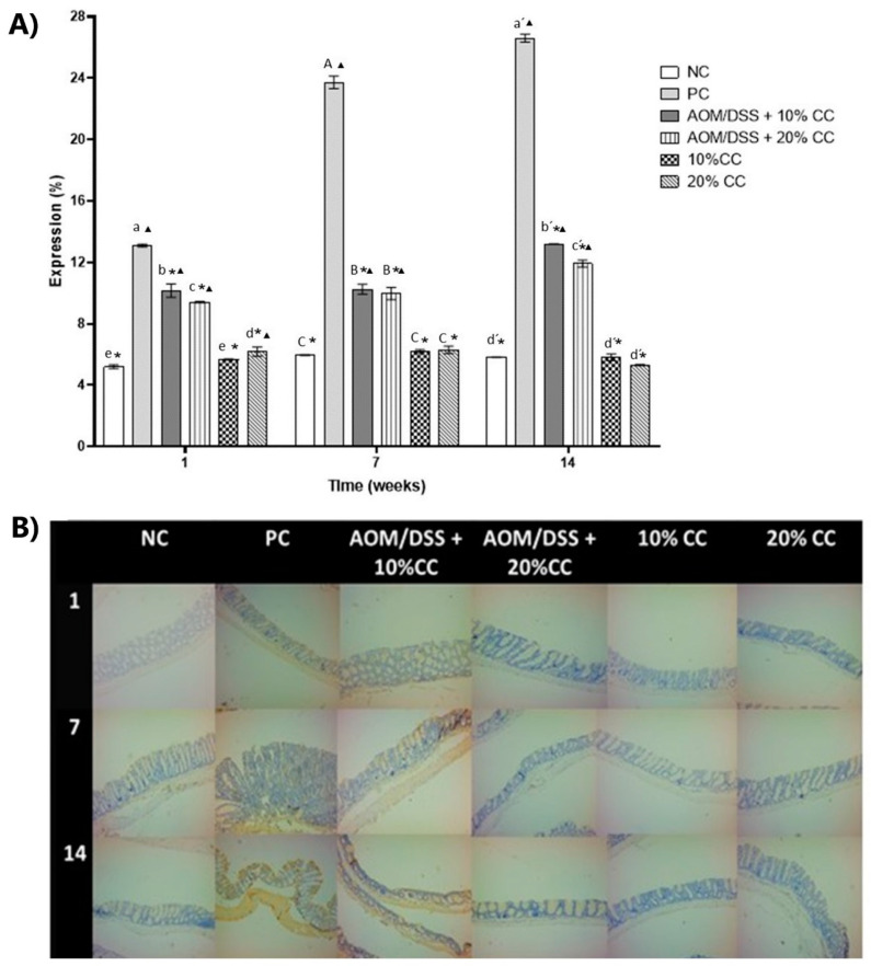 Figure 6