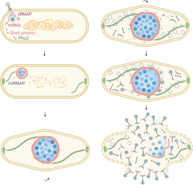 FIG 3