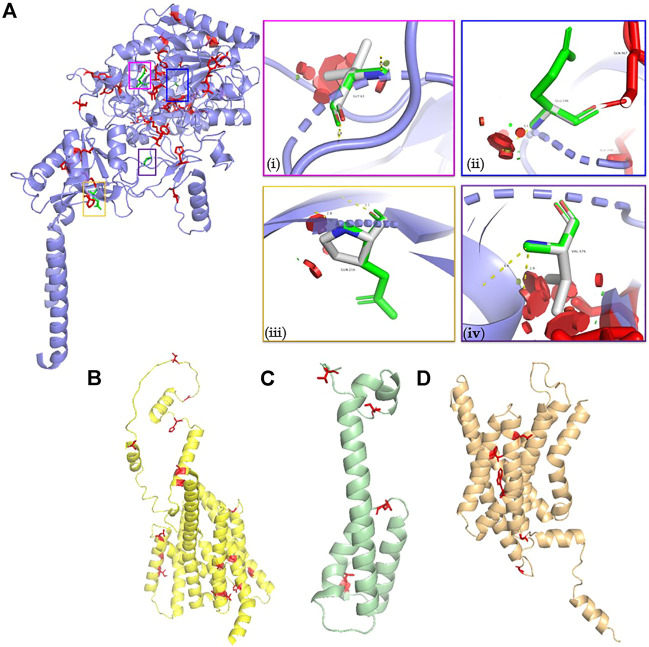 FIGURE 4