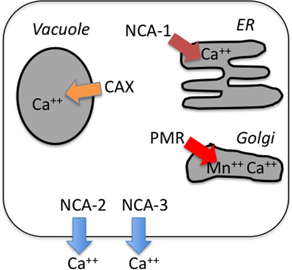 Fig 10