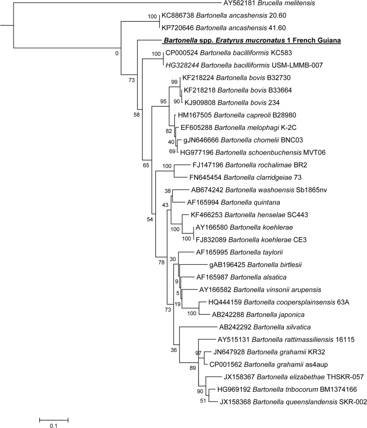 Fig 3