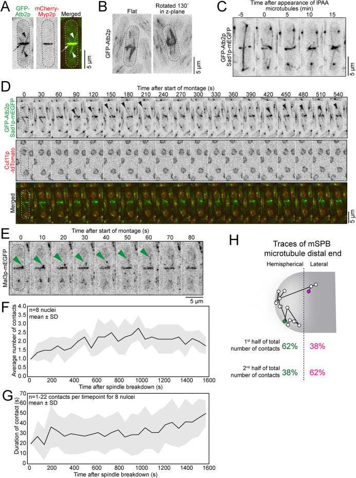 FIGURE 5: