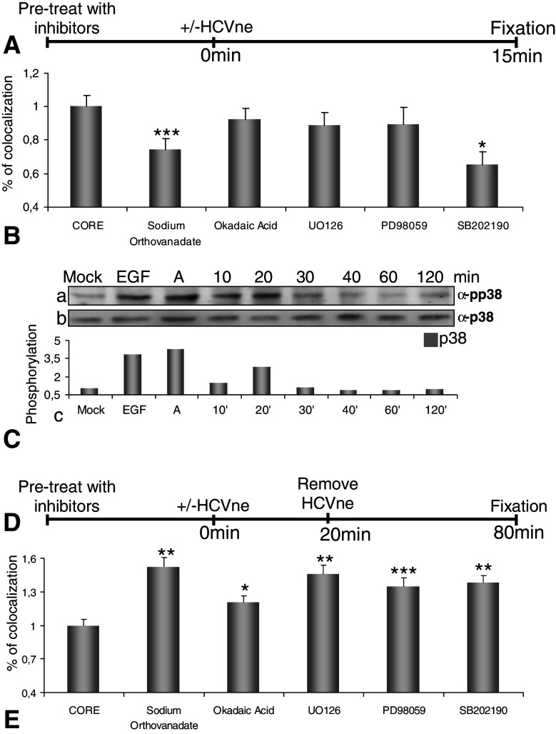 Fig. 6