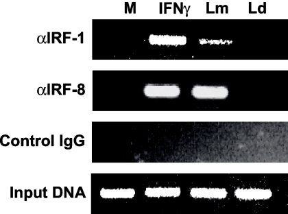 FIG. 5.