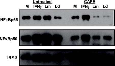 FIG. 9.