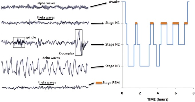 FIGURE 2.