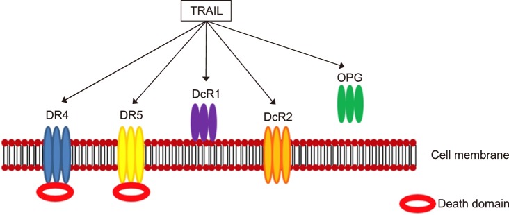 FIG. 3