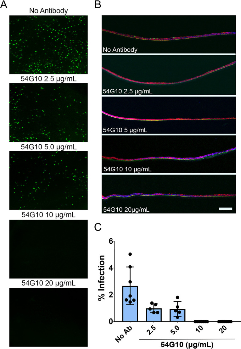 FIG 6