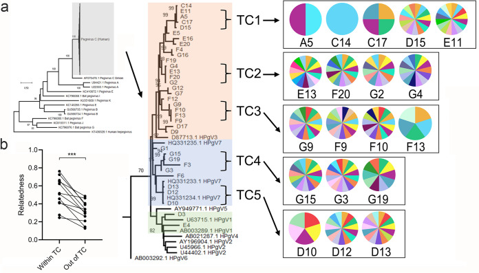 FIG 6