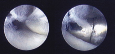 Fig. 9