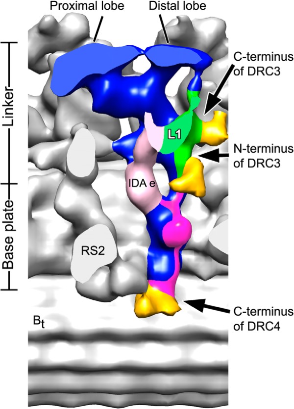 FIGURE 7.