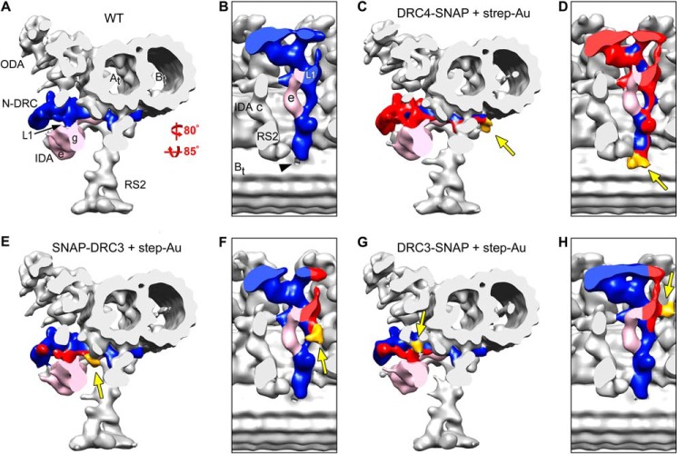 FIGURE 3.