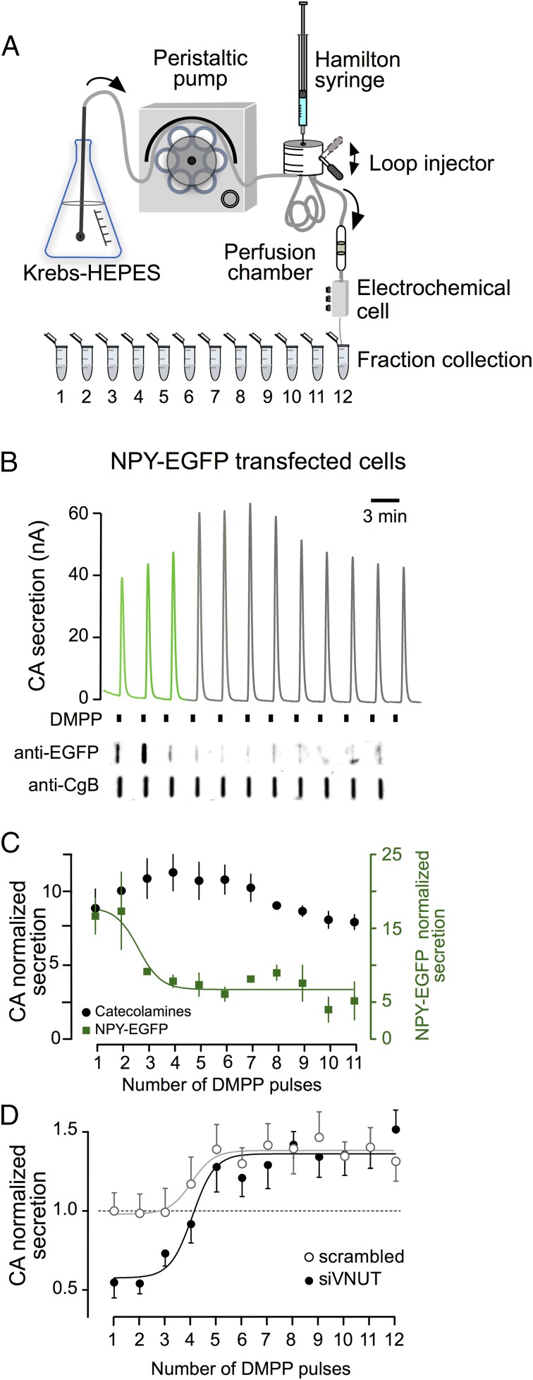 Fig. 4.