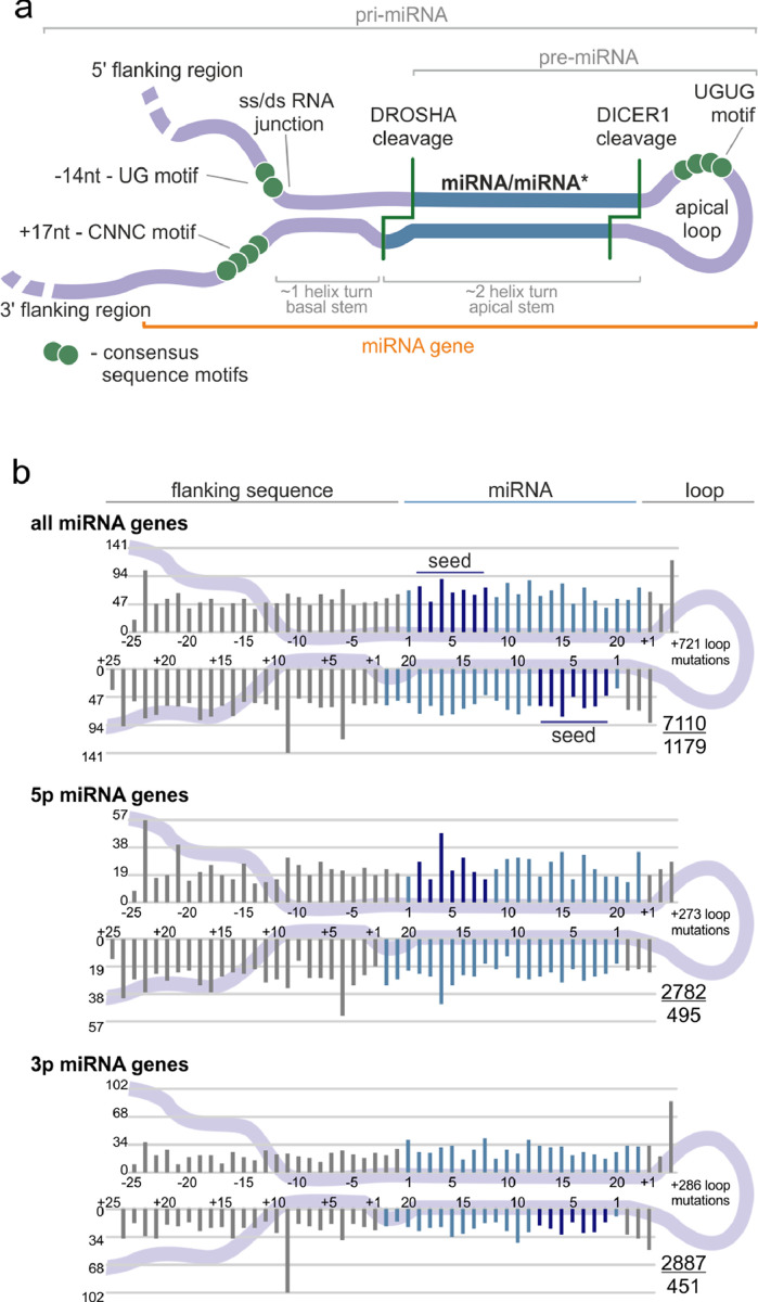 Fig. 2: