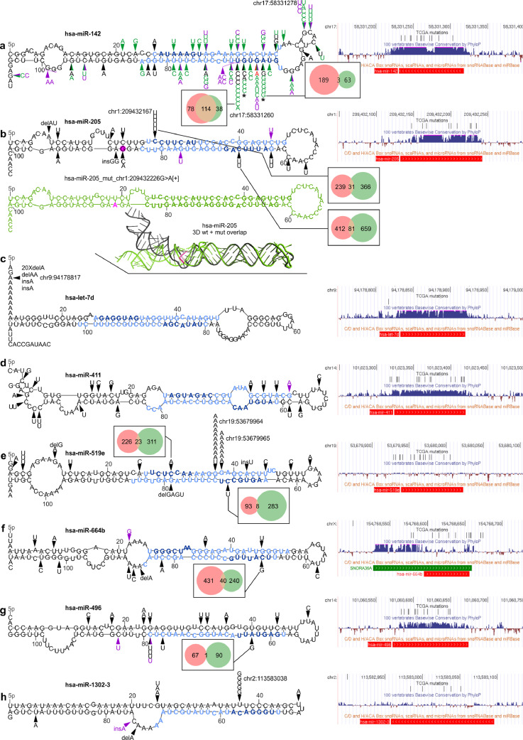 Fig. 4: