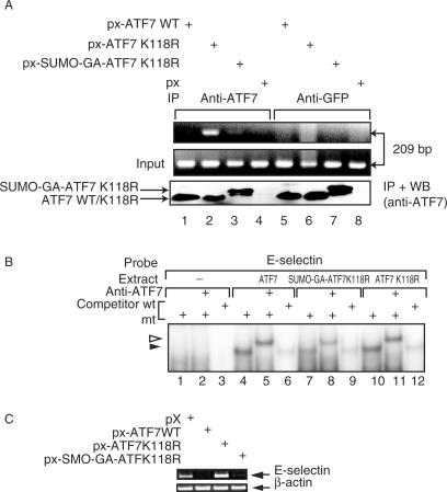 Figure 6.