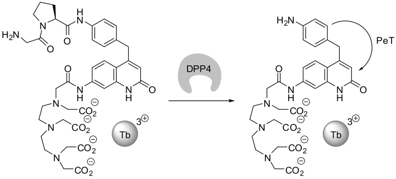 Fig. 8