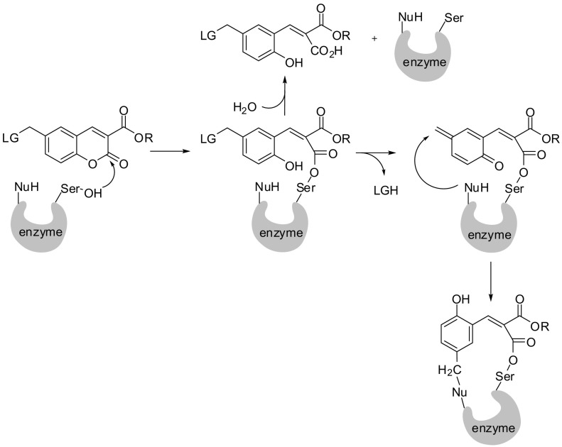 Fig. 6