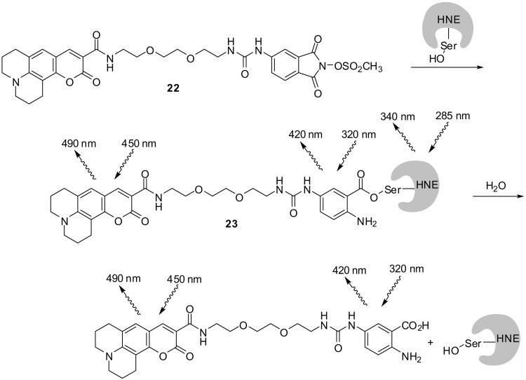 Fig. 16