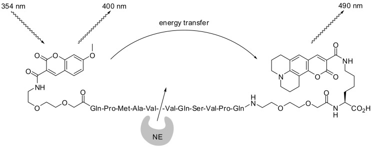 Fig. 13