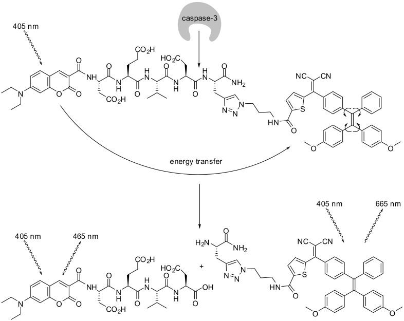 Fig. 12