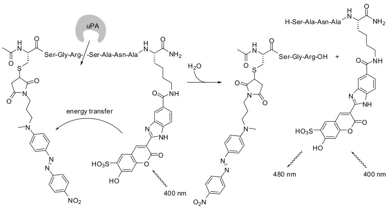 Fig. 10