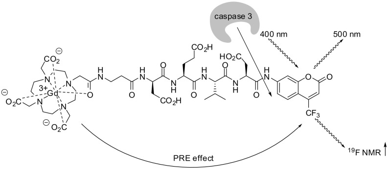 Fig. 11