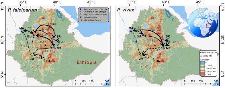 Fig 4