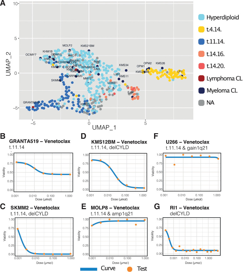 Figure 6. In silico drug sensitivity screen. A, UMAP 2D projection of Celligner-aligned sample and cell line expression data: dots represent the samples [HD in light blue, t(4;14) in yellow, t(11;14) in blue, t(14;16) in salmon, and t(14;20) in pink] and the lymphoma (dark blue) and myeloma (red) cell lines, samples missing karyotype in gray. B–G, Dose–response curves for cell lines of interest: orange dots represent tests and blue curves represent the fitted trends. drc, dr4pl R packages have been used to generate drug-sensitivity plots.