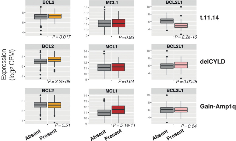 Figure 5. BCL2 family gene expression analysis. Box plots representing the specific BCL2 family gene expression in t(11;14), del(CYLD), and chr(1q21)gain/amps samples.