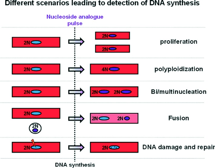 Figure 5. 