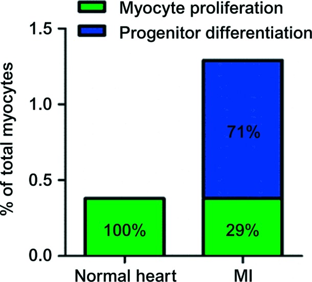 Figure 4. 