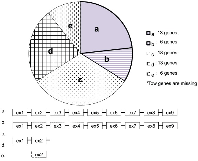 Figure 8