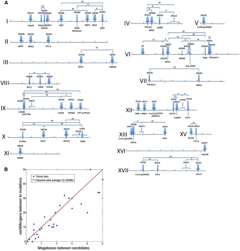 Figure 4.