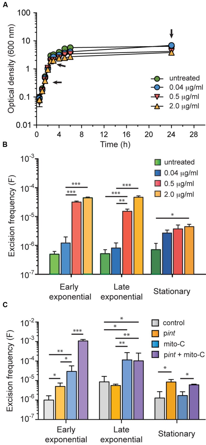 FIGURE 4