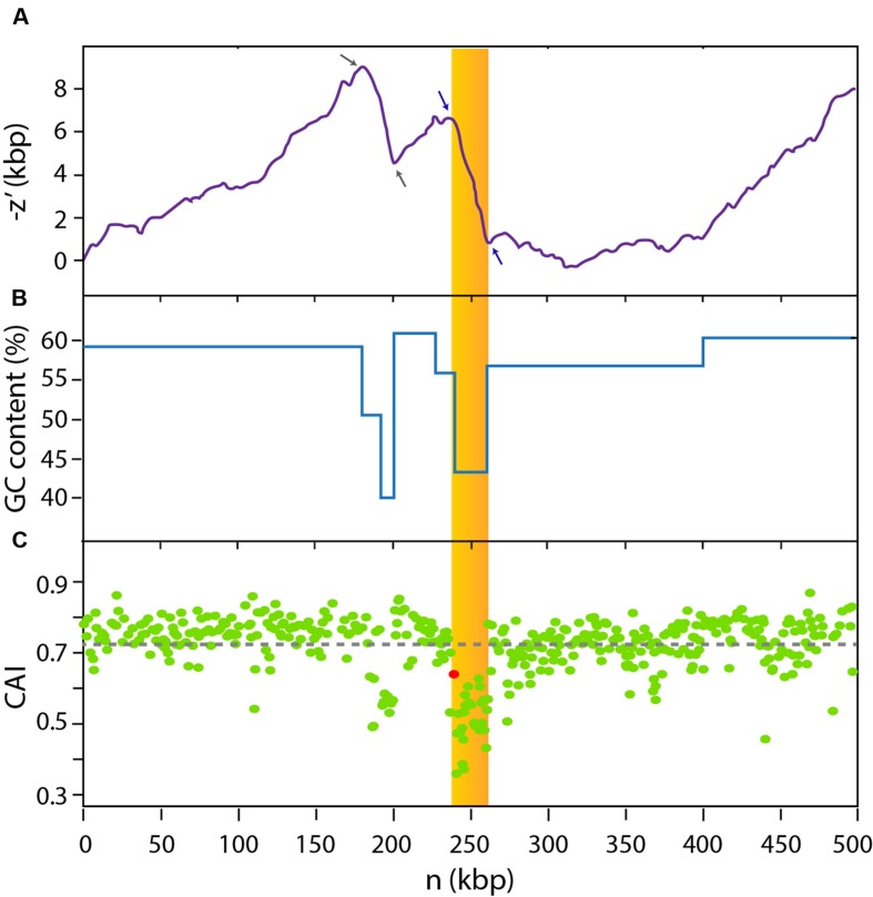 FIGURE 1