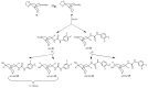 Scheme 5