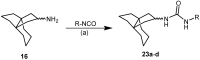 Scheme 4