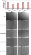 Fig. 8