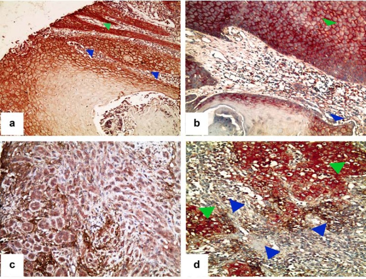 Fig. (2)