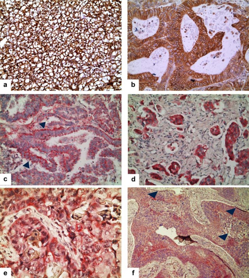 Fig. (5)